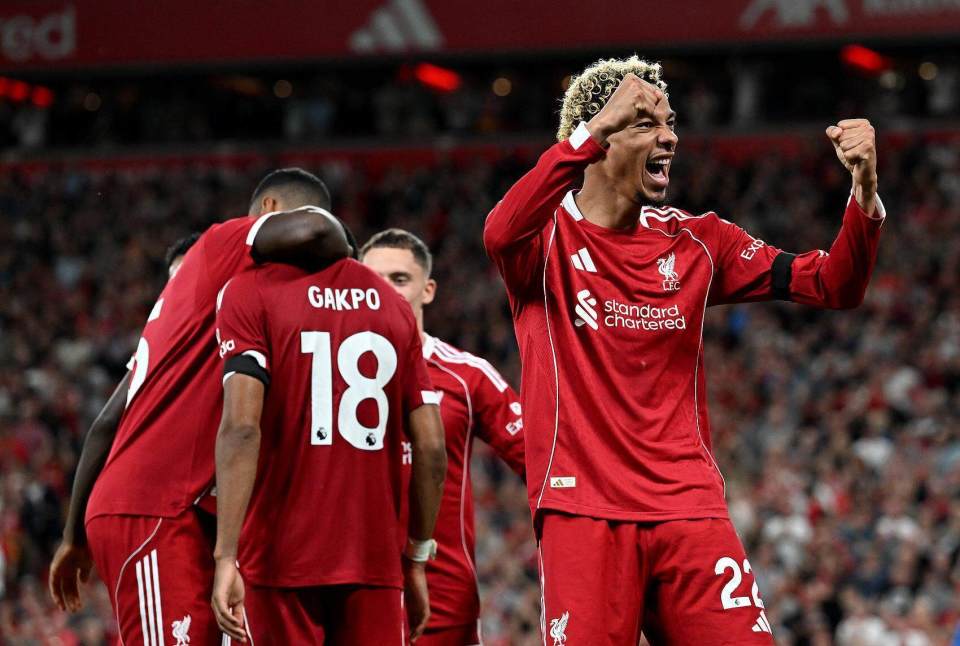 己的实力, px 己的实力, px